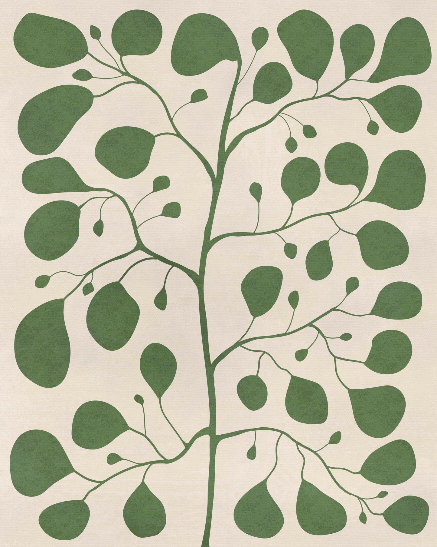 botanisk poster inspirerad av en Fig tree, illustrerad av Tove Malm 