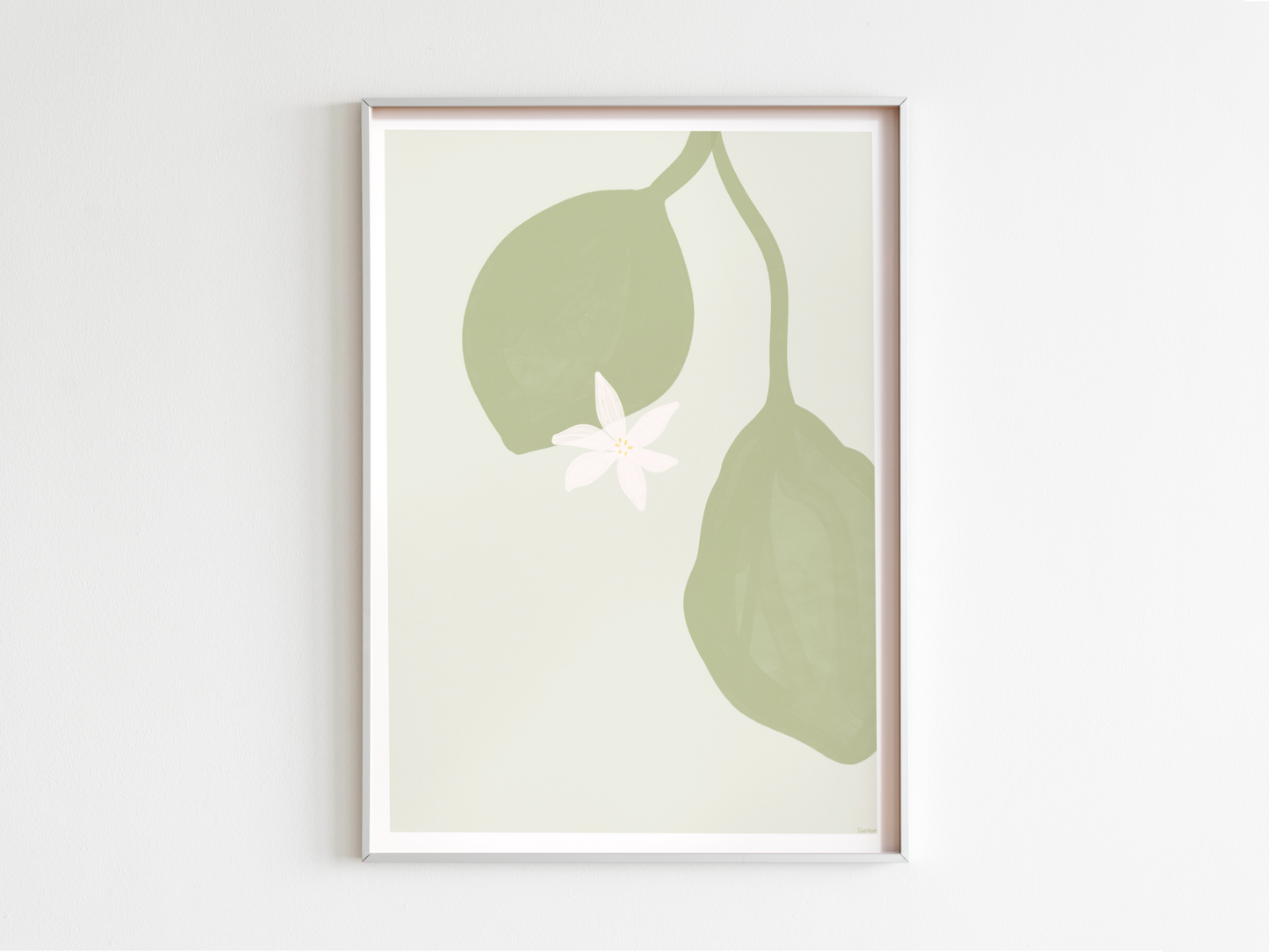 Lemon flower | Sage Green Poster Design 