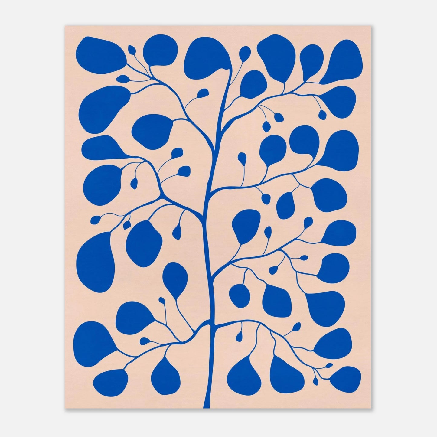 Pilea Ficus poster med blå blad på rosa bakgrund – botanisk illustration av Tove Malm utan ram.