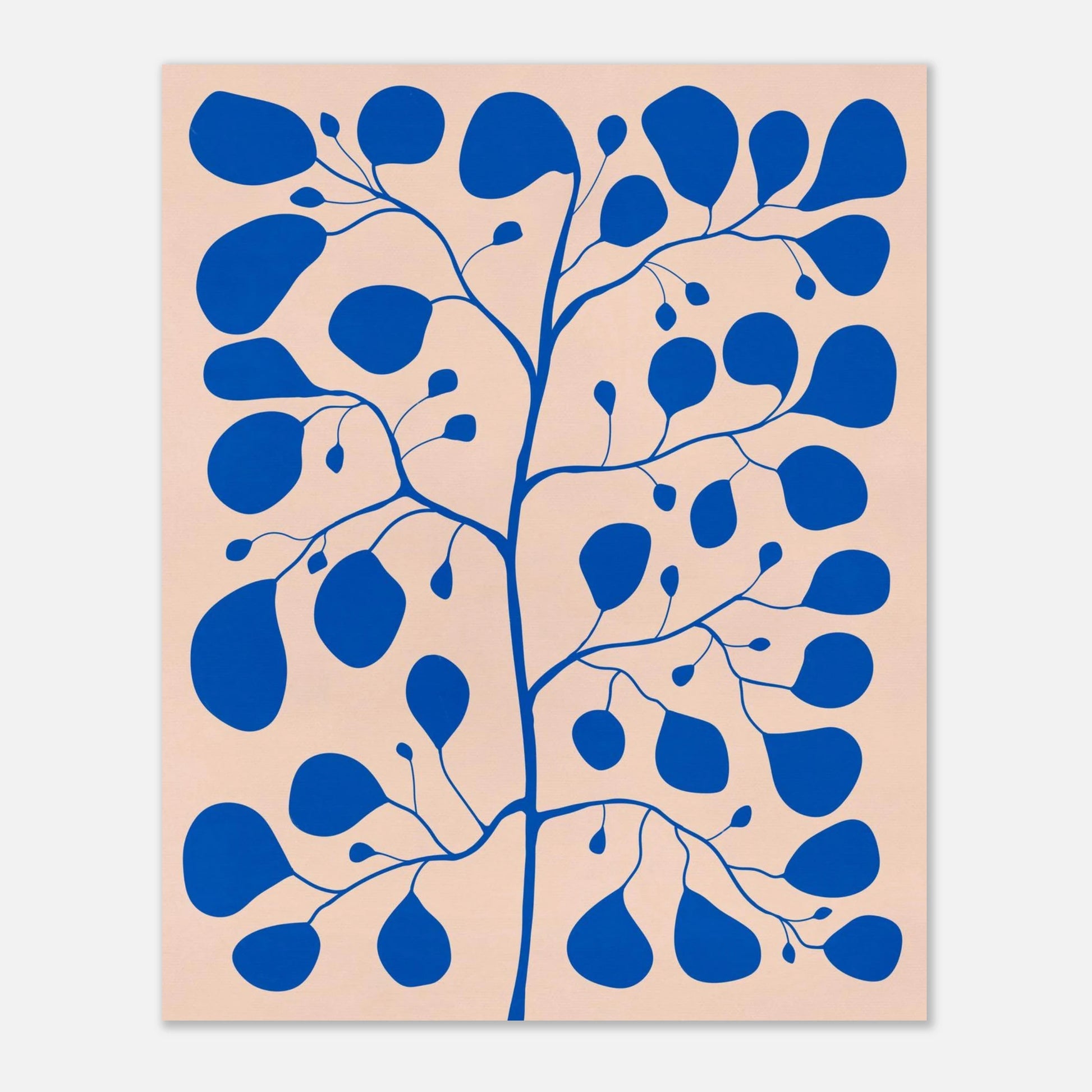 Pilea Ficus poster med blå blad på rosa bakgrund – botanisk illustration av Tove Malm utan ram.