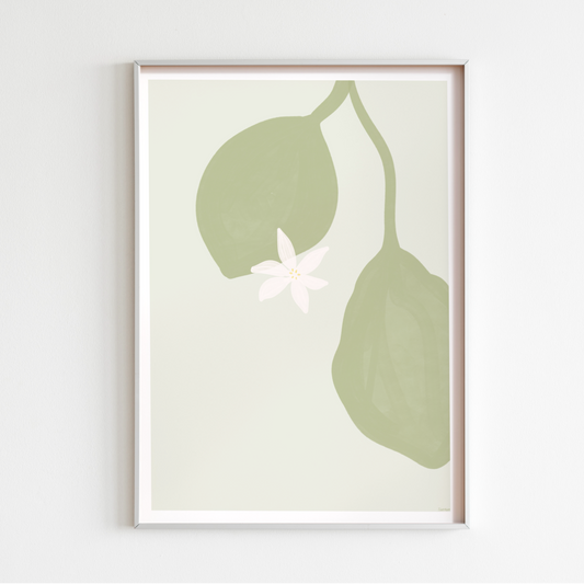 Sage Green Lemon Leaf