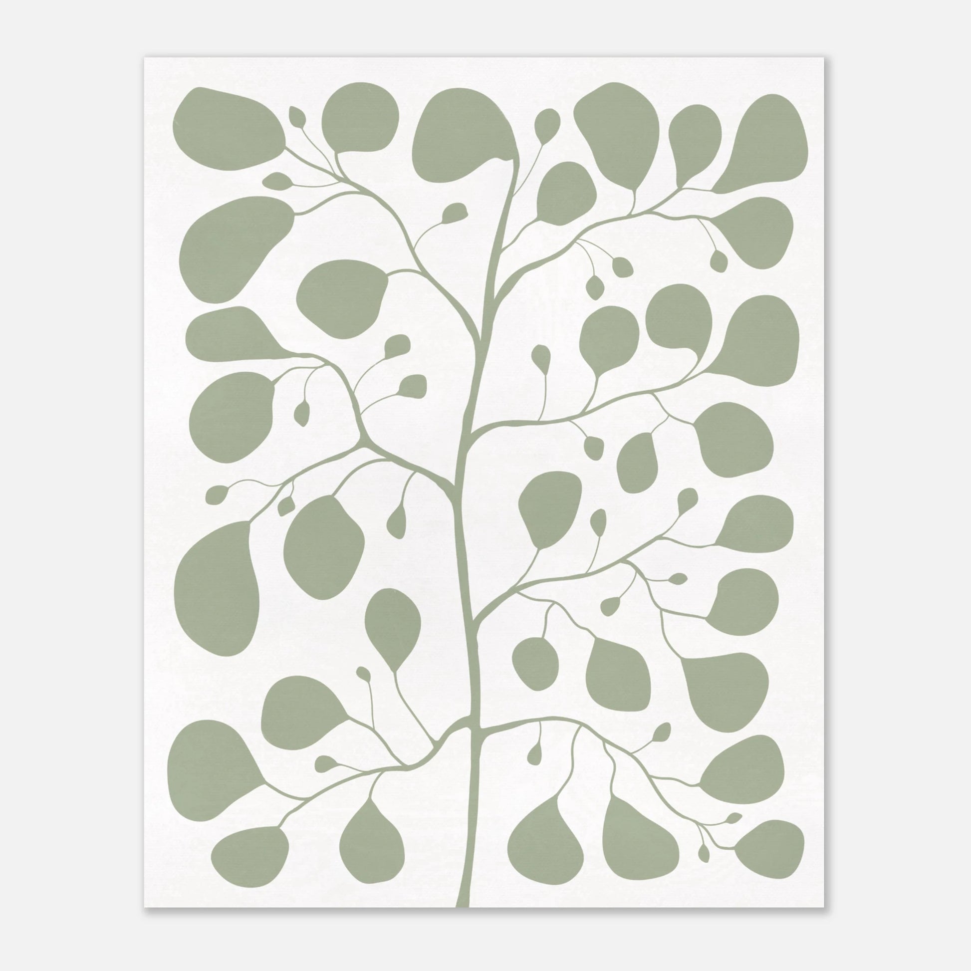 Handritad botanisk illustration av en Pilea-växt i en trendig jadegrön nyans på en ljus, texturerad bakgrund skapad av Tove Malm Illustration.