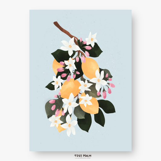 Apelsin Poster | Färgglad Väggkonst med citrus och blå bakgrund, Illustration av Tove Malm Studio