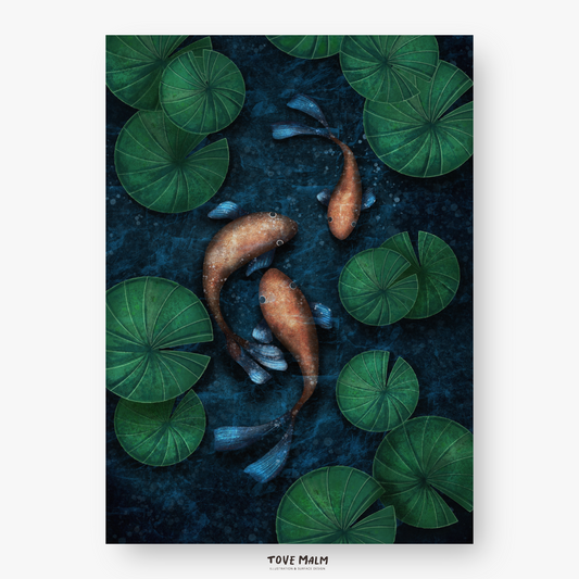 Koi Carp Poster |  Japansk Fisk Tavla illustration Tove Malm Studio