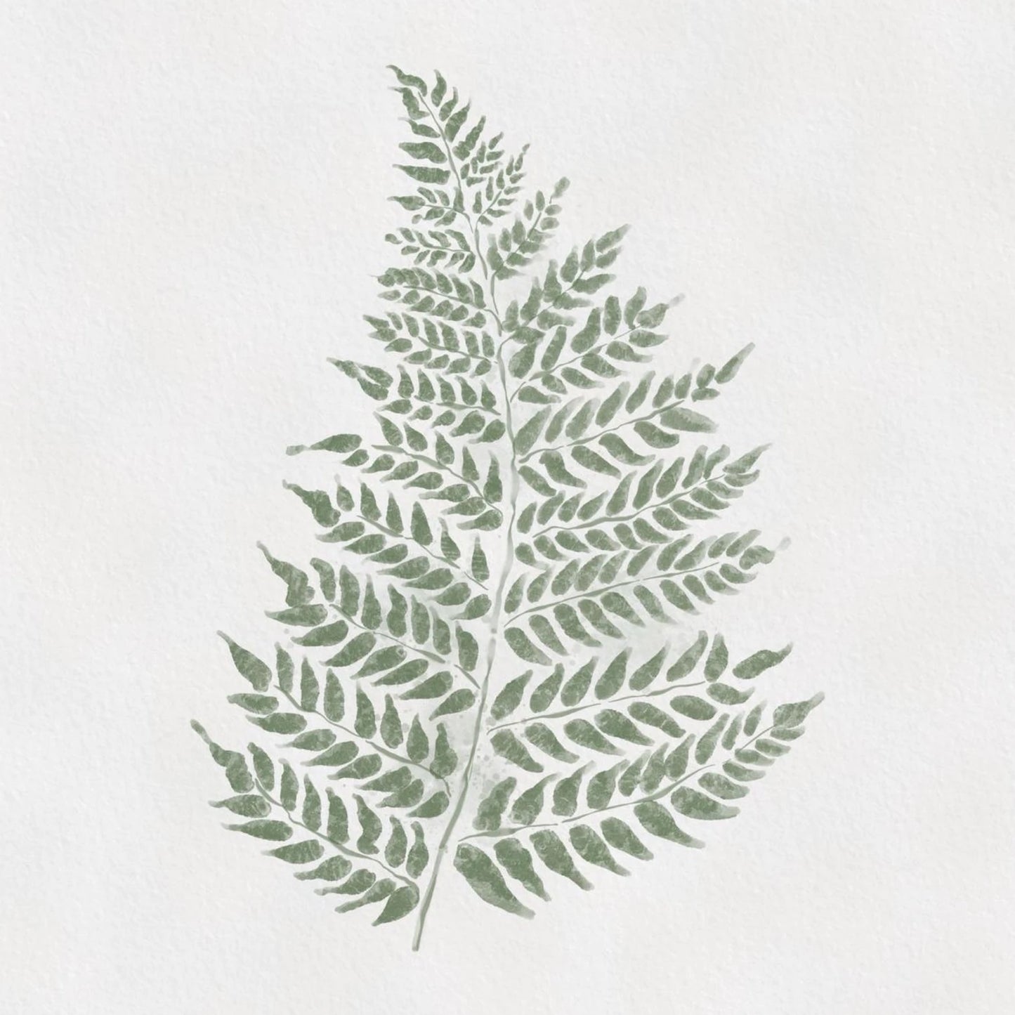 Botanisk poster med en illustrerad ormbunke i dov grön och sepia på en vit bakgrund.